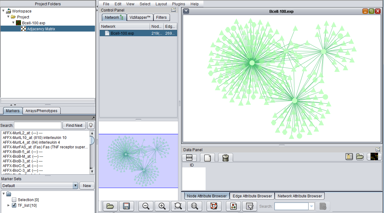 CNKB Network in Cytoscape.png