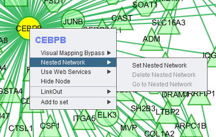 Cytoscape nested network.png