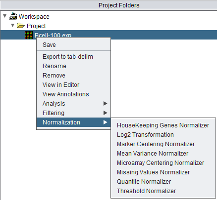 Project Folders Normalization Menu.png
