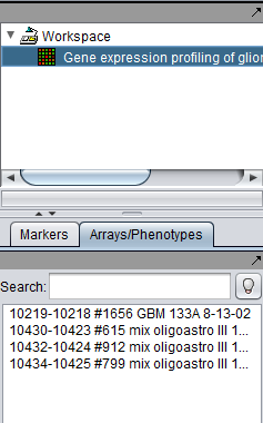 Open File caArray merged node.png