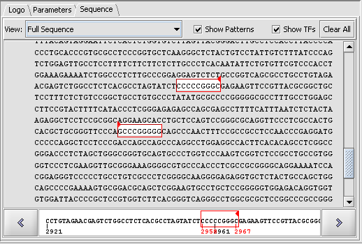 T Promoter CDH2 AP2 2000updn scan fullseq.png