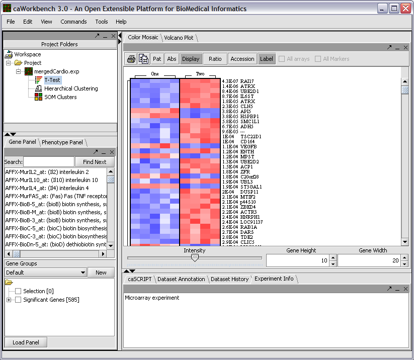 Screenshot depicting typical usage of geWorkbench.