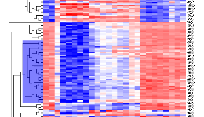 T HierarchicalClustering BC44Markers.png