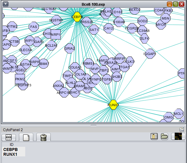 CNKB Cytoscape intersection.png