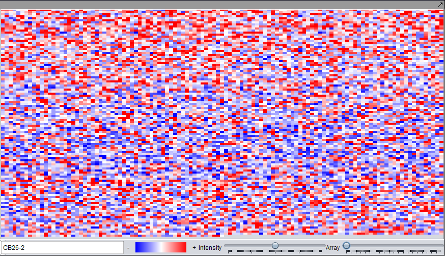 Microarray Viewer.png