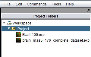 Network Project Folder.png