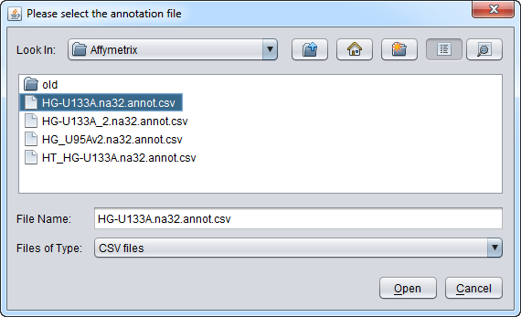 OpenFile Remote Annotation Glioma.png