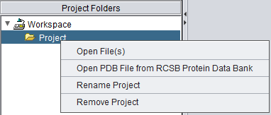 Project Folders Project Options.png