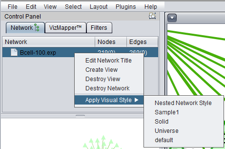 Cytoscape Network Options full.png