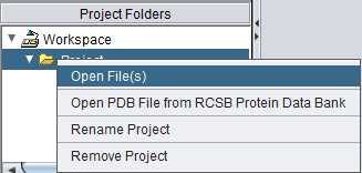 Project Open Files.png