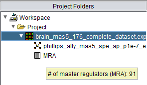 Project Folders MRA Tooltip.png