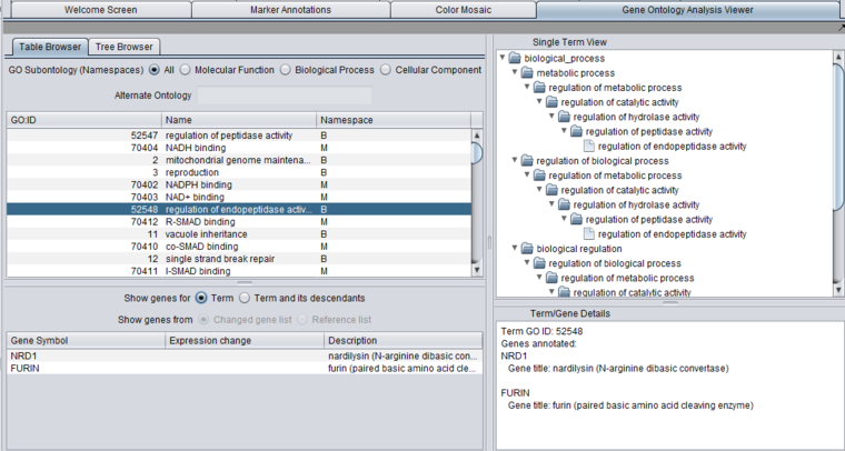 GeneOntology Viewer Table.png