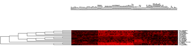 File:T HC Dendrogram selection.png