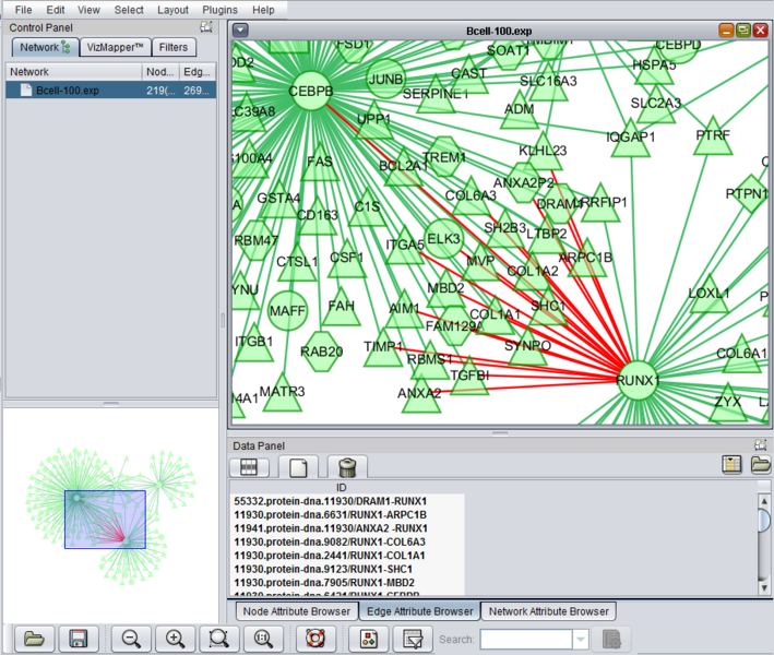 File:Cytoscape edges selected.png