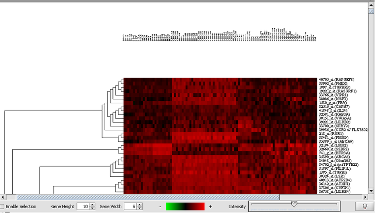 T HC Dendrogram display.png