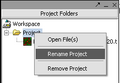 T ProjectFolder RenameProject.png