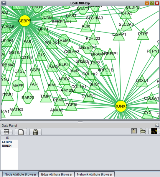 File:Cytoscape nodes selected.png