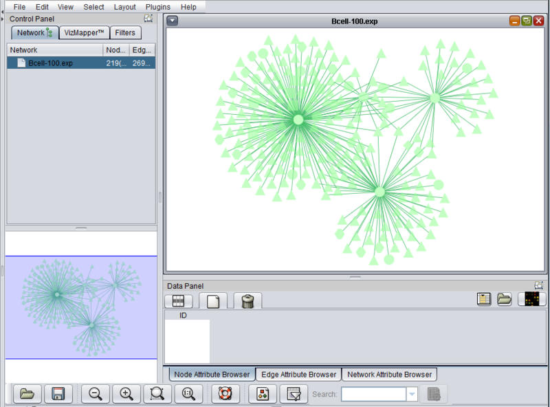 File:Cytoscape Layout.png