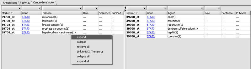 File:CGI summary page.png