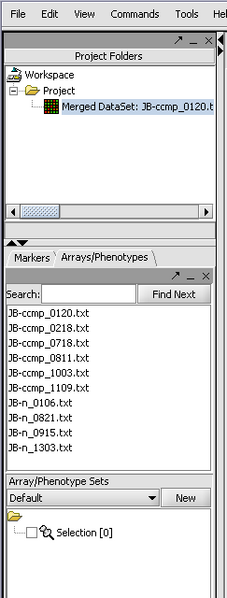 File:T ProjectFolder MergedFile.png