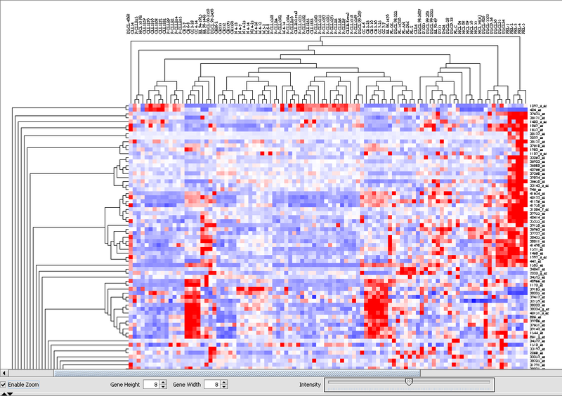 File:T Dendrogram Clusters.png